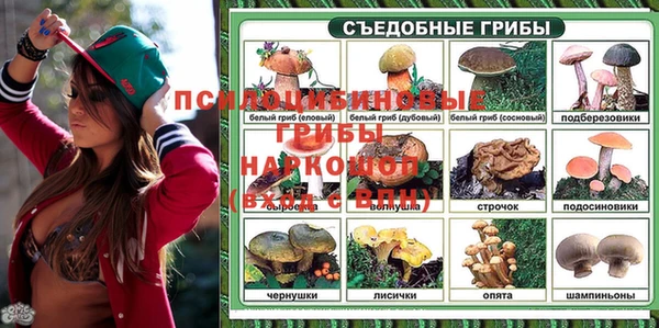 молекула духа Армянск
