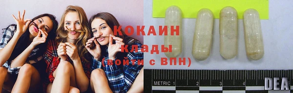 ПСИЛОЦИБИНОВЫЕ ГРИБЫ Арсеньев