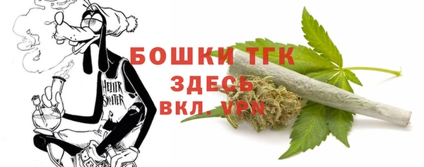 ПСИЛОЦИБИНОВЫЕ ГРИБЫ Арсеньев