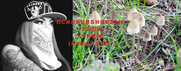 молекула духа Аркадак