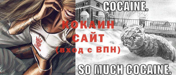 молекула духа Аркадак