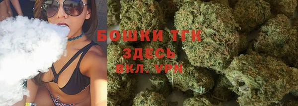 ПСИЛОЦИБИНОВЫЕ ГРИБЫ Арсеньев