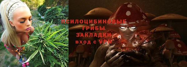 молекула духа Армянск